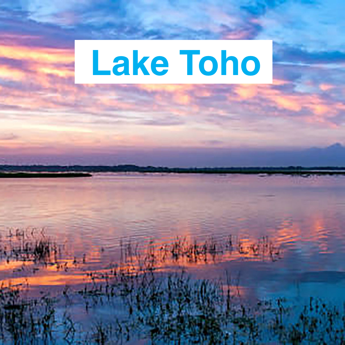 Lake-Toho-Kissimmee-Bass Fishing